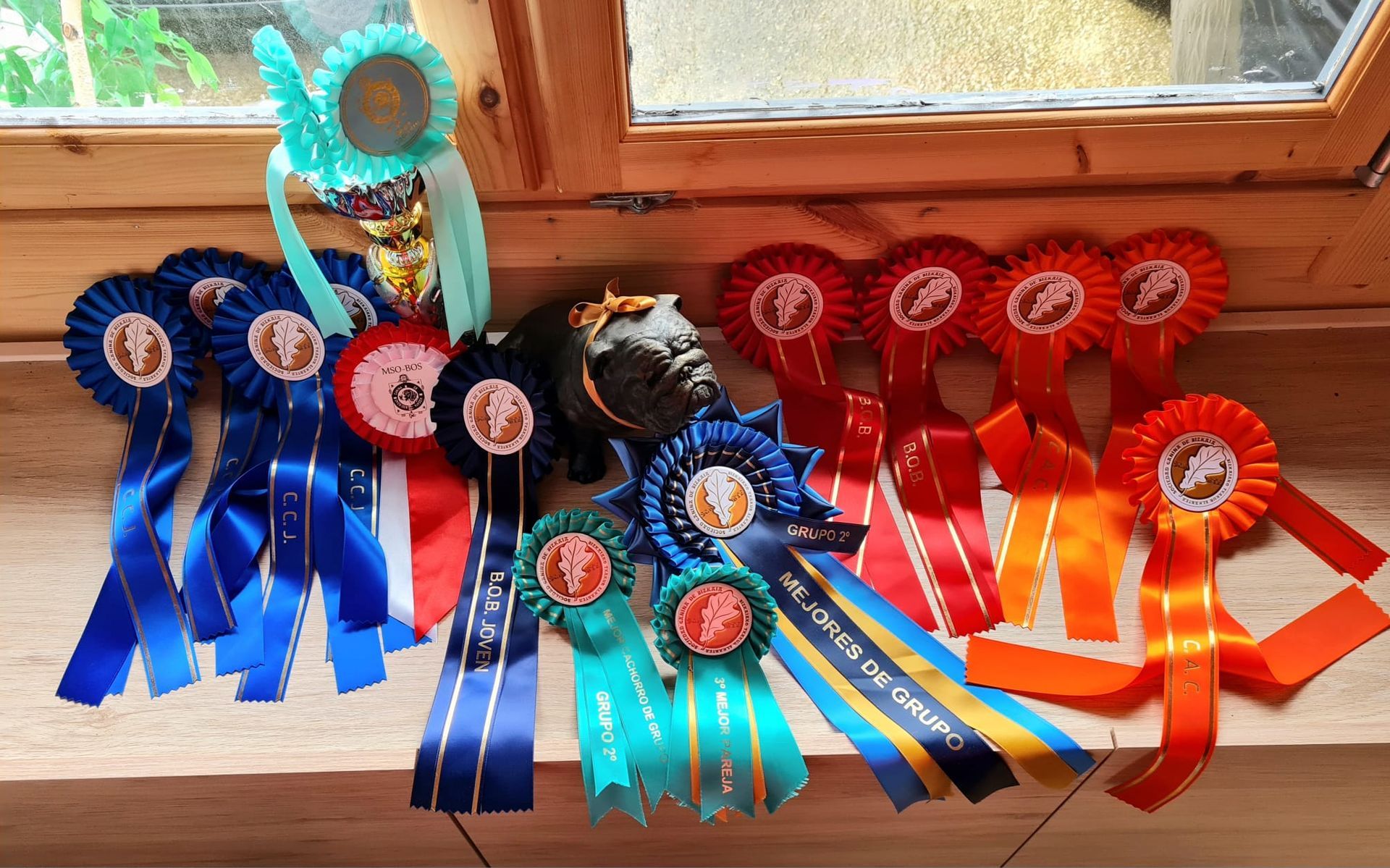 Zeus IV de Breogan - Kinderbull - Rottweiler Exturion Bull Lars Ulrich - Kinderbull - Bulldog Inglés