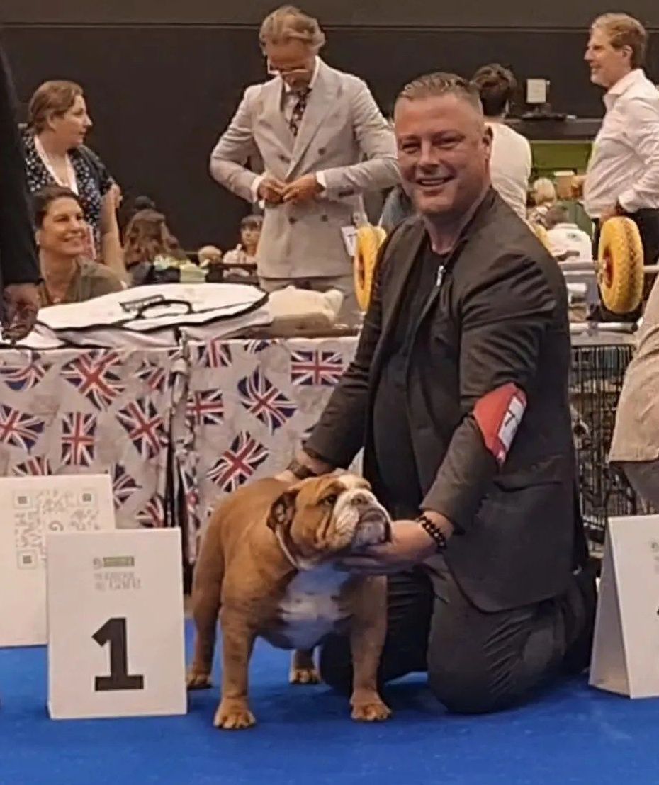 Club Bulldog Bélgica - Kinderbull - Bulldog Inglés Club Bulldog Bélgica - Kinderbull - Bulldog Inglés