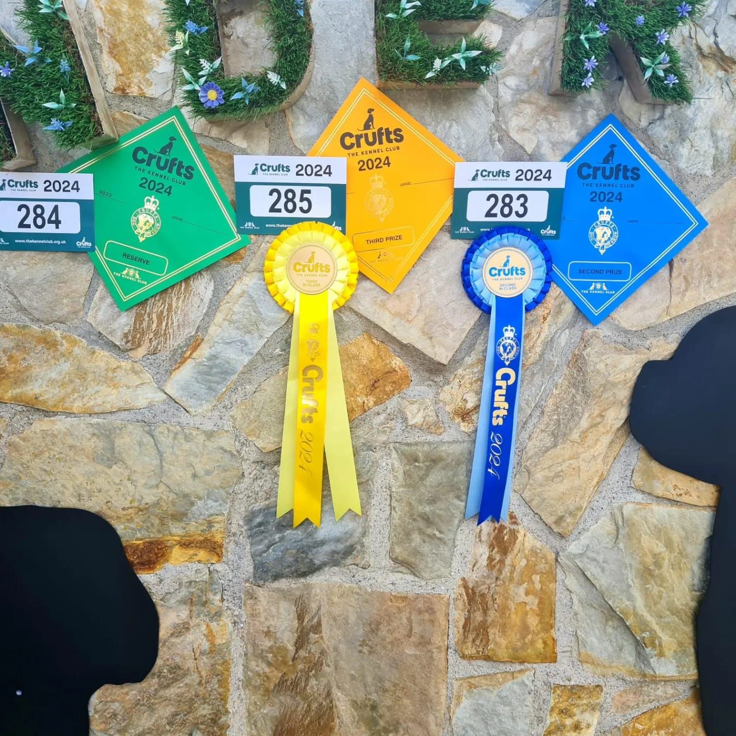 Kinderbull - Bulldog Inglés Kinderbull - Bulldog Inglés