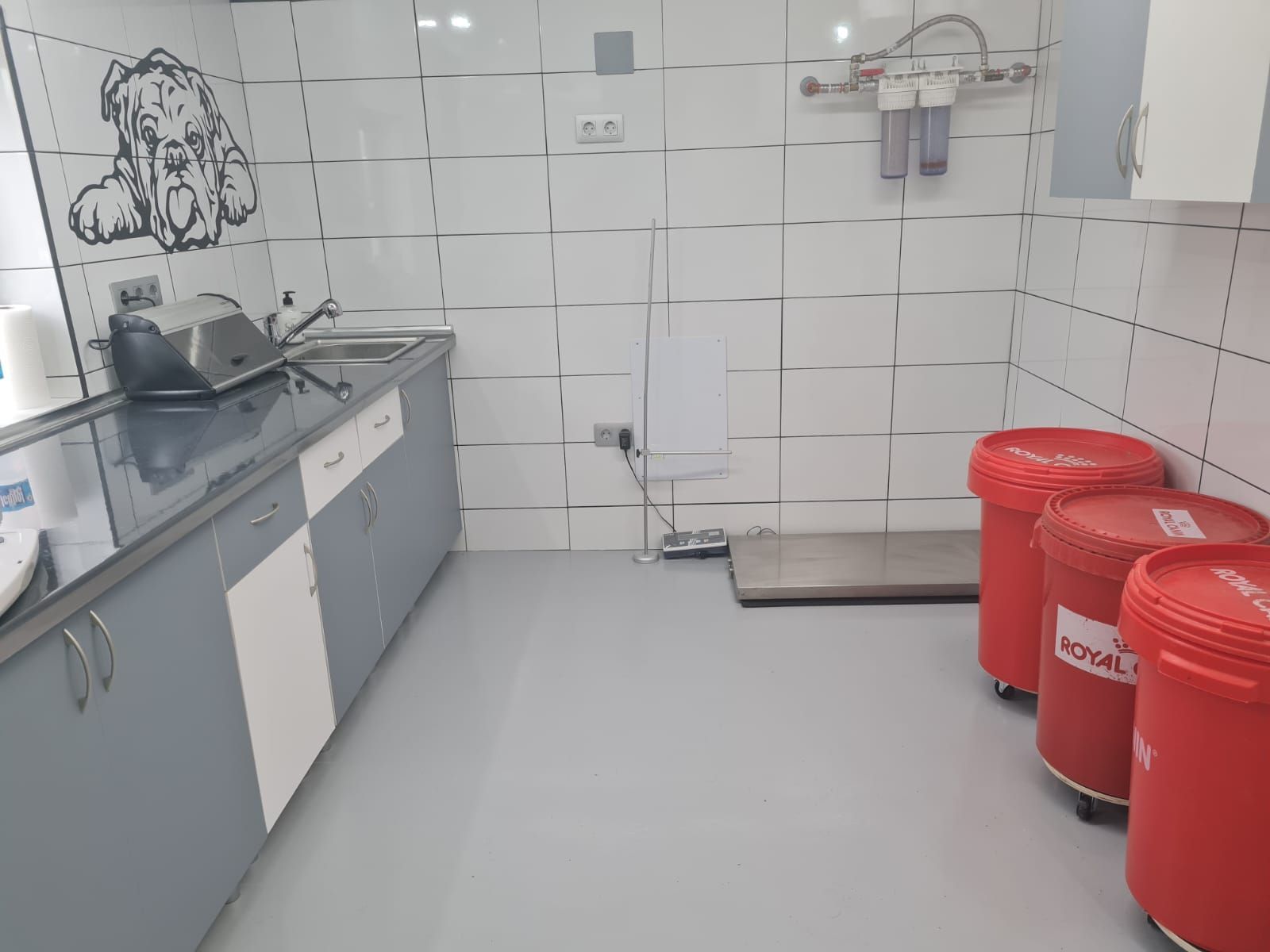 Baby room - Kinderbull - Bulldog Inglés y Rottweiler Baby room - Kinderbull - Bulldog Inglés y Rottweiler