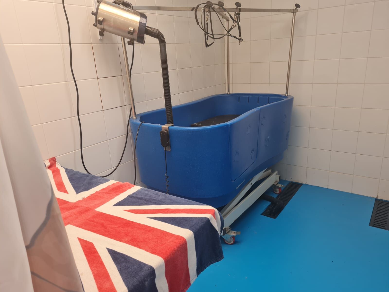 Baby room - Kinderbull - Bulldog Inglés y Rottweiler Baby room - Kinderbull - Bulldog Inglés y Rottweiler