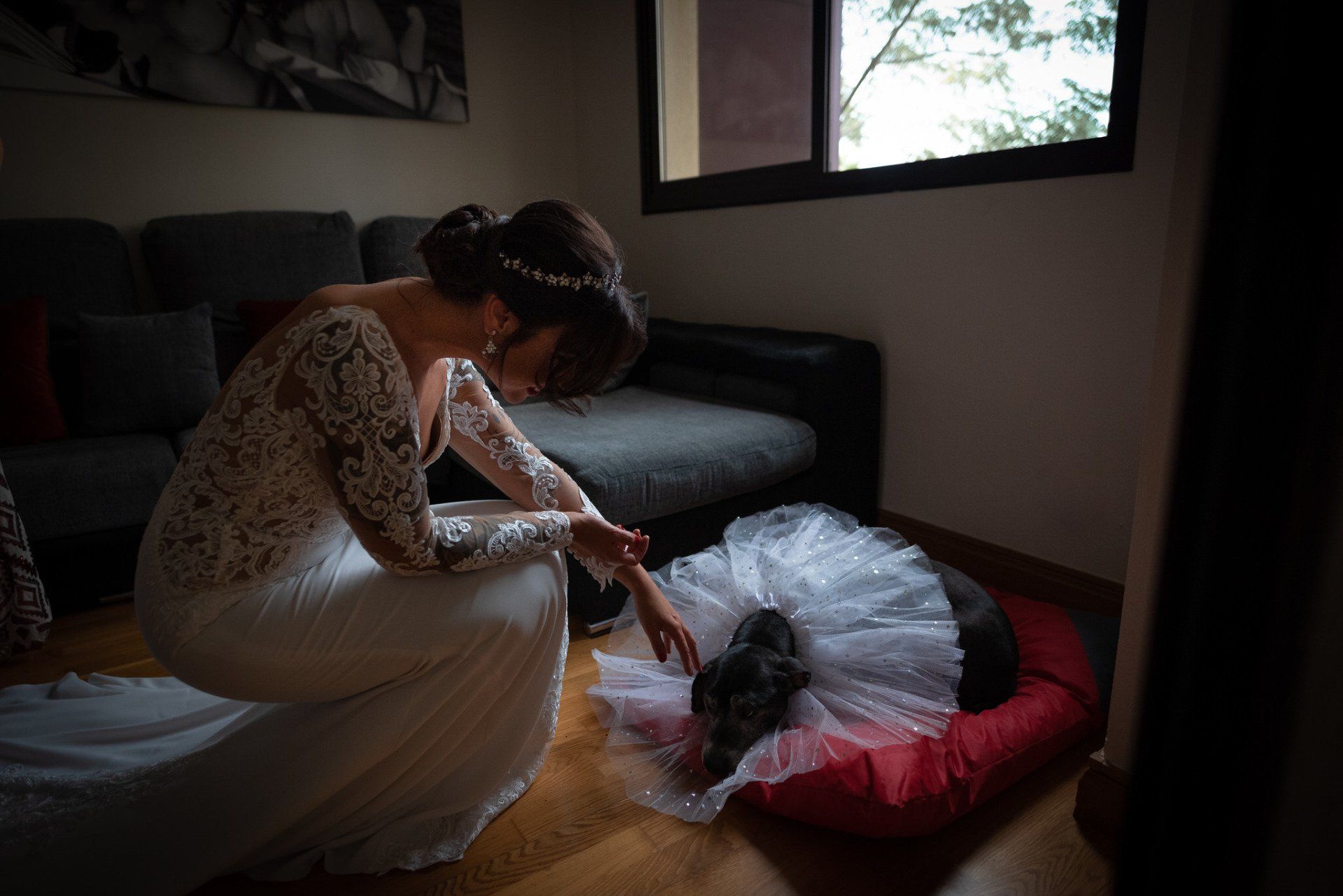 Sara&Rafa Boda Málaga preparativos de la novia con su perra