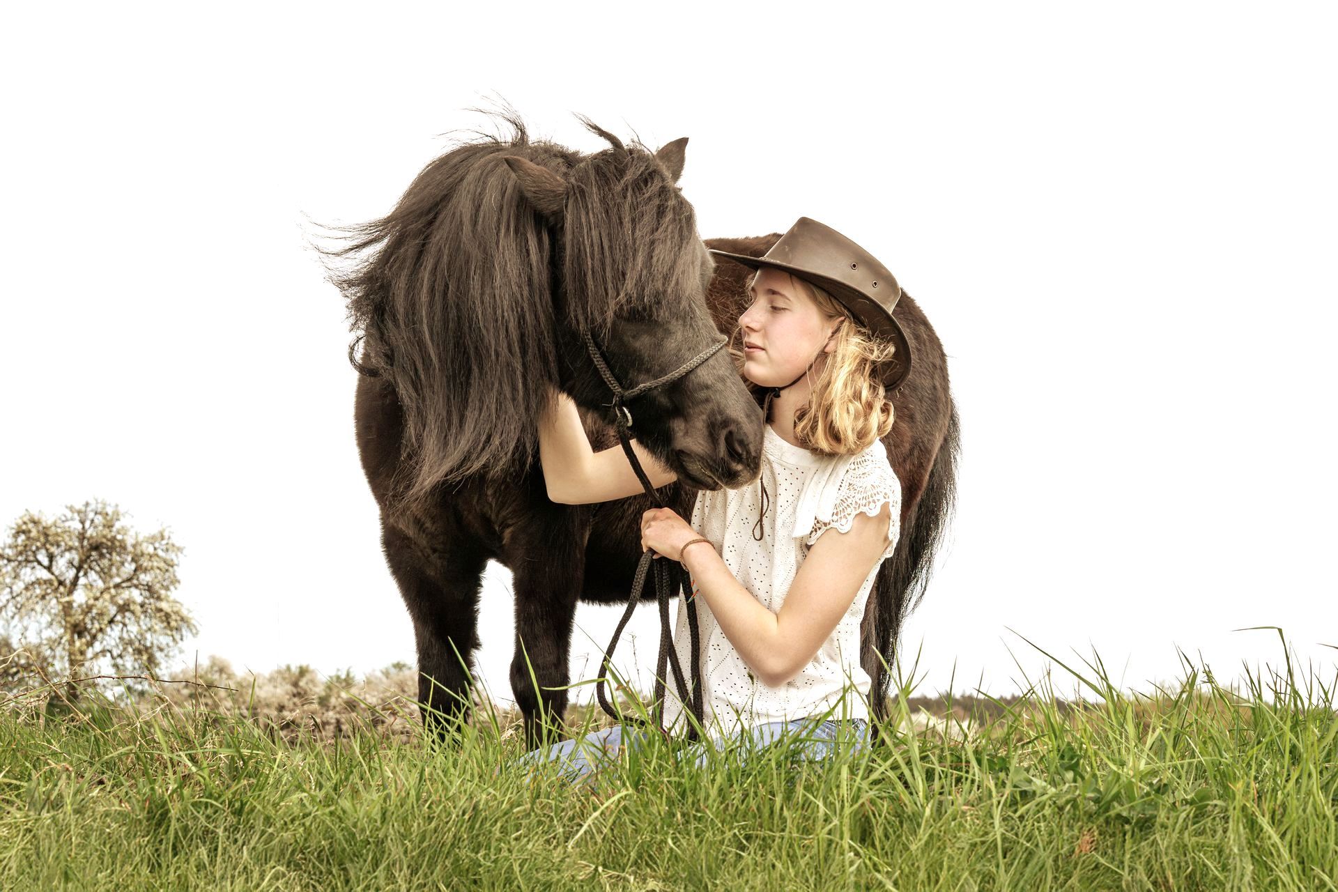 Ausdrucksstarke Pferde fotografie-kuhn