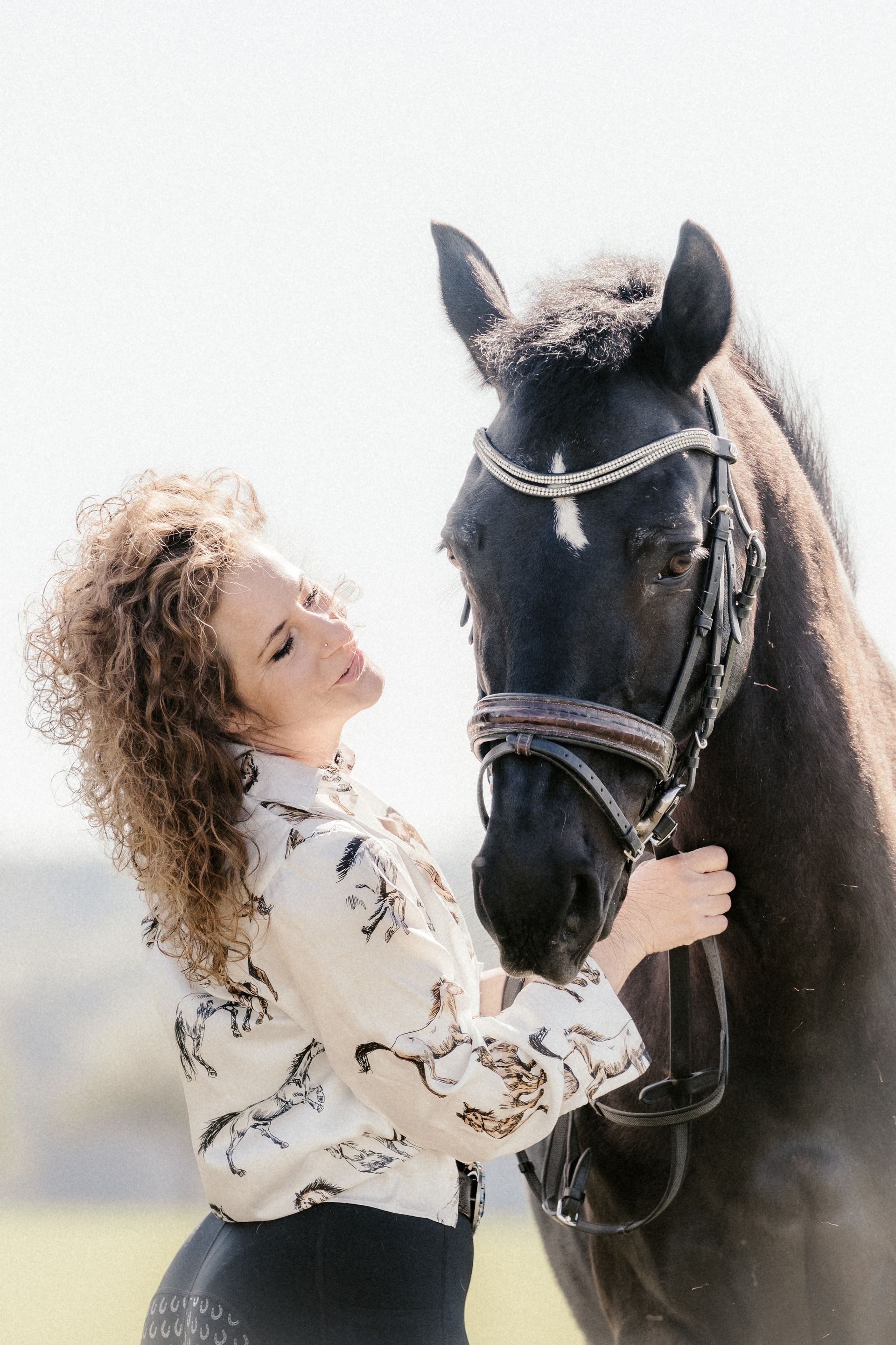 Ausdrucksstarke Pferde fotografie-kuhn