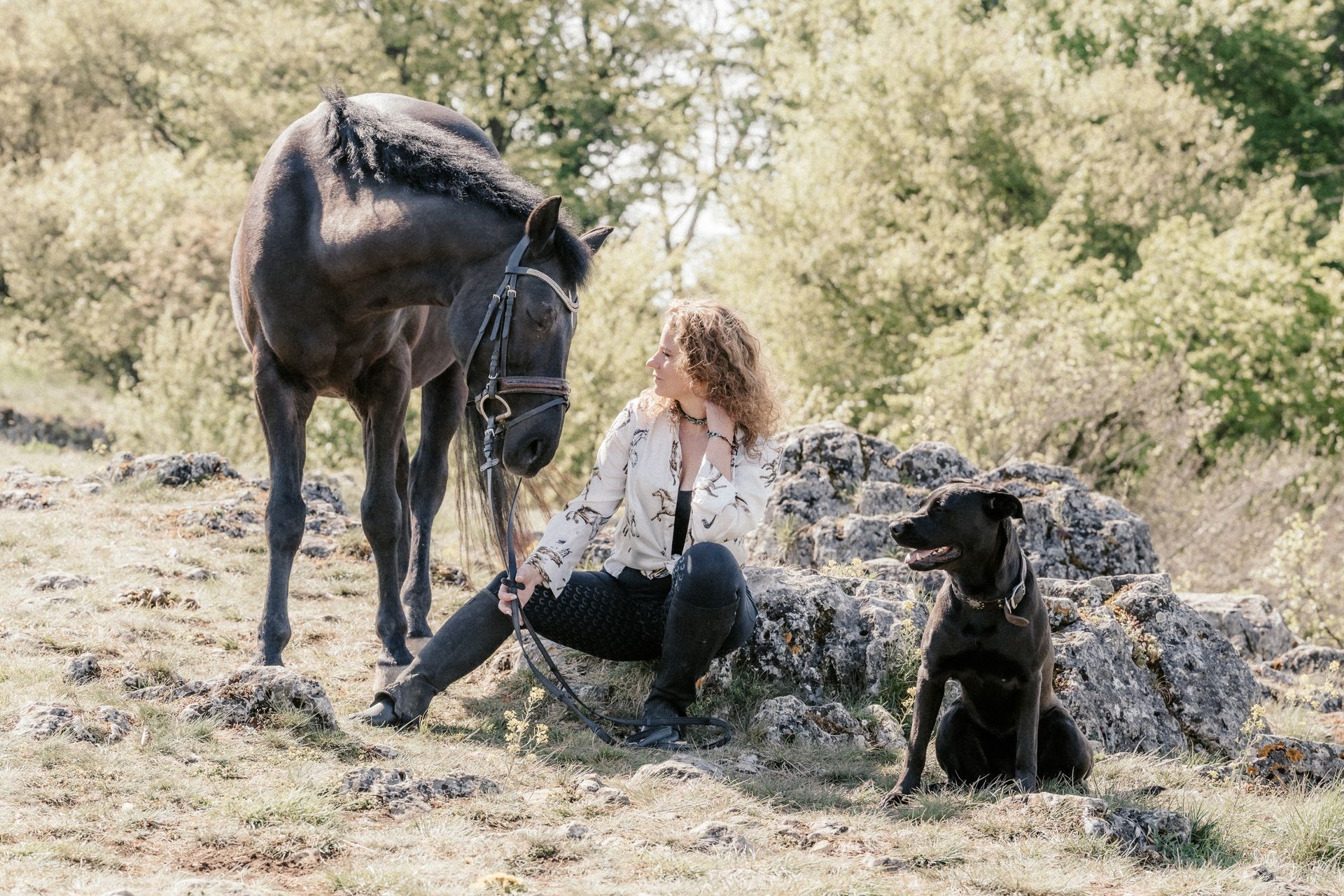 Ausdrucksstarke Pferde fotografie-kuhn