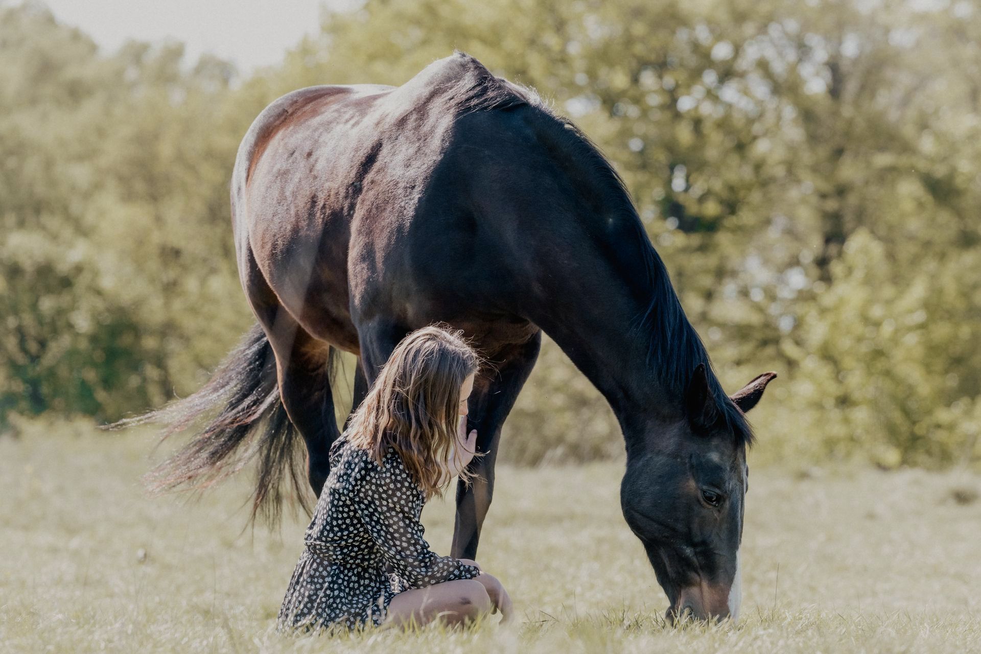 Ausdrucksstarke Pferde fotografie-kuhn