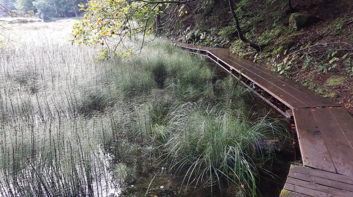 Sulingen: Belebter Parkplatz beim Kaufhaus Ranck im Sulinger Zentrum neben dem Froschbrunnen. „Gute Stube“ für Autofahrer.