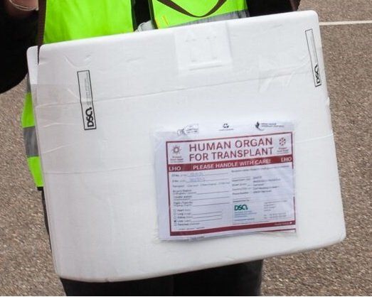 Organ Transportbox