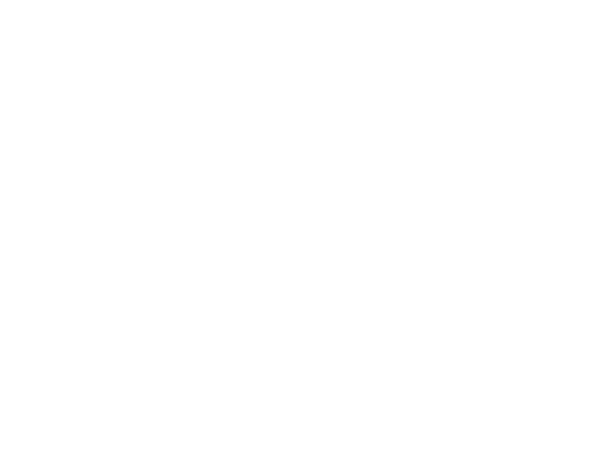 Hochzeitsfotograf Dresden