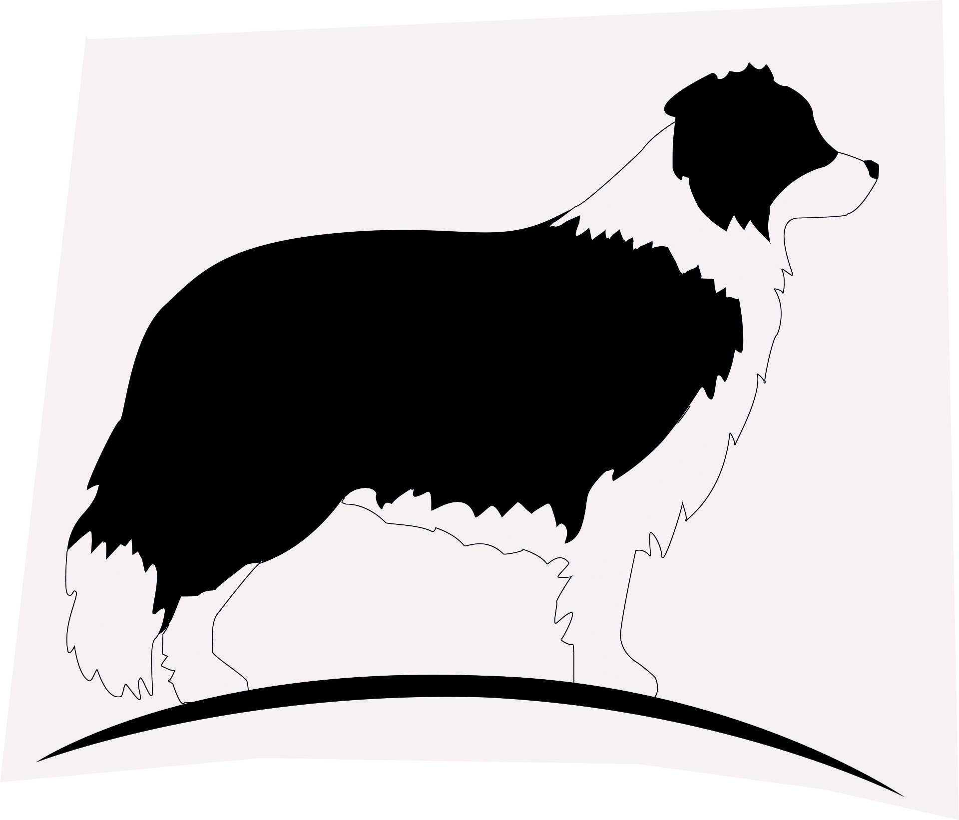 fido
