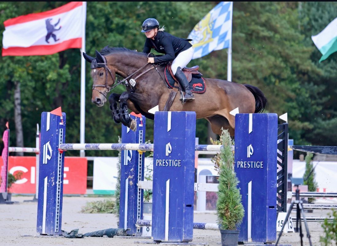 Jumper or Eq VAN HOLDER
2014 geb Wallach
145cm platziert
Equitation & Jumper