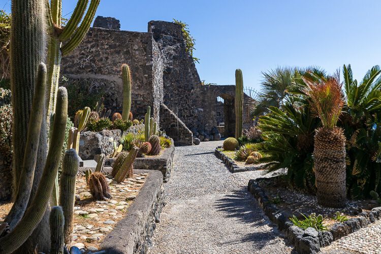 Botanischer Garten im Castello Normanno Botanischer Garten mit vielen Sukkulenten im normannischen Kastell in Aci Castello, Sizilien.
