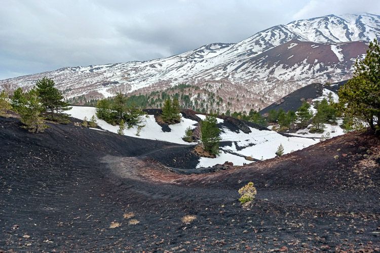 Atemberaubende Landschaft der Ätna-Nord-Flanke Ausflug auf den Ätna: Die Landschaft ist geprägt von kontrastreichen Farben Schwarz, Weiß und Grün.