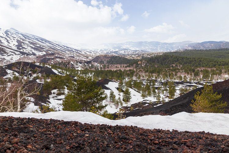 Was für ein Ausblick auf der Nordseite des Ätna Weite Aussicht bei einem Ausflug auf den Ätna. Die Landschaft ist von Kontrasten mit Schnee, grüner Vegetation und schwarzer Asche geprägt.