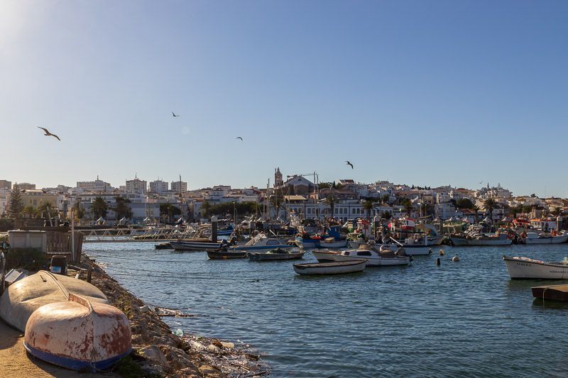 Bei einem Urlaub in Lagos kann man zu den Fischern spazieren. Fischerhafen in Lagos mit Booten, Möwen und der Silhouette der Stadt im Hintergrund.