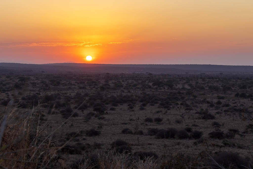Sundowner in Amboseli Die Sonne geht in intensiven Farben unter in Amboseli.
