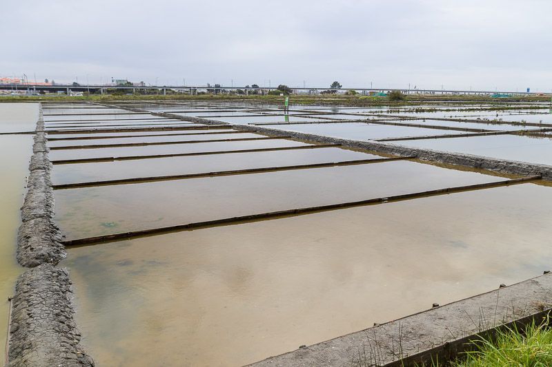Salinen in Aveiro, die fußläufig erreichbar sind Salinen am Stadtrand von Aveiro.