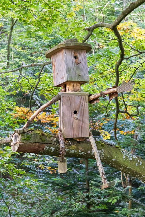Zwei Vogelhäuschen sind übereinandergeschraubt und so gebaut, dass sie wie ein Männchen aussehen, dass auf einem Ast sitzt.