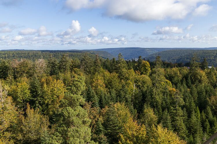 Ausblick bei bestem Wetter. Blick bei klaren, schönen Wetter in den Schwarzwald bis zum Horizont.