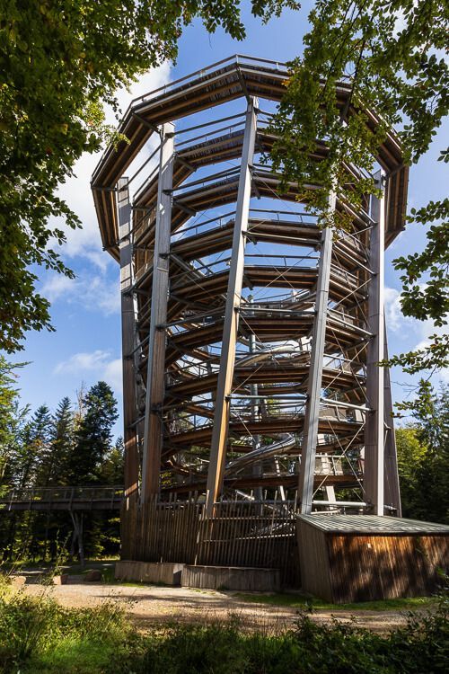 Der Aussichtsturm des Baumwipfelpfades aus der Froschperspektive. Der Blick geht 40 Meter nach oben.