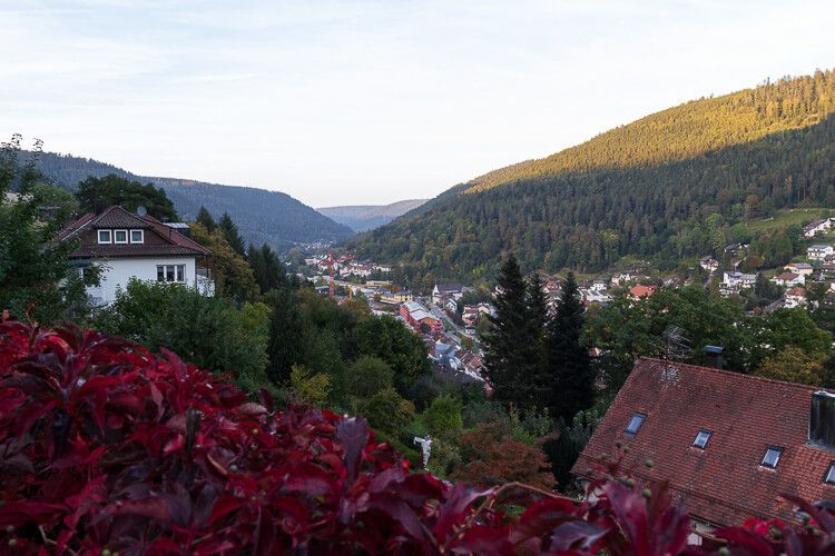 Blick ins Enztal bei Sonnenuntergang. Diese Aussicht bietet der Zick-Zack-Weg des Sommerbergs. Blick ins Enztal bei Sonnenuntergang. Im Vordergrund sind rote Weinblätter, die einen stimmungsvollen Kontrast bilden.