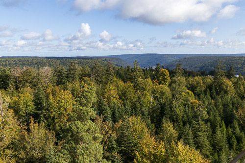 Blick in den Schwarzwald bei Bad Wildbad bei schönstem Wetter.