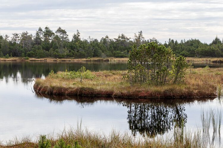 Der Wildsee mit einer kleinen Insel in der Mitte. Der Wildsee mit einer kleinen Insel in der Mitte.