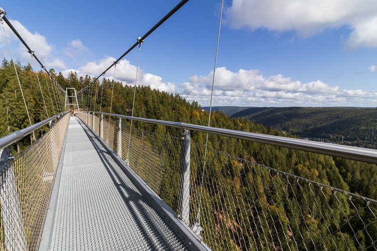 Auf der Wildline mit Blick zur Nordseite Auf der Hängebrücke Wildline bei Bad Wildbad mit Gitterweg und Blick in den sattgrünen Schwarzwald.