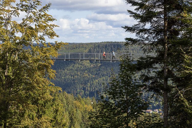 Hängebrücke Wildline vom parallel laufenden Wanderweg. Die Hängebrücke Wildline vom parallel laufenden Wanderweg: Gut zu sehen ist die Höhendifferenz zum Boden. Zwei Menschen laufen über die Brücke und wirken winzig.