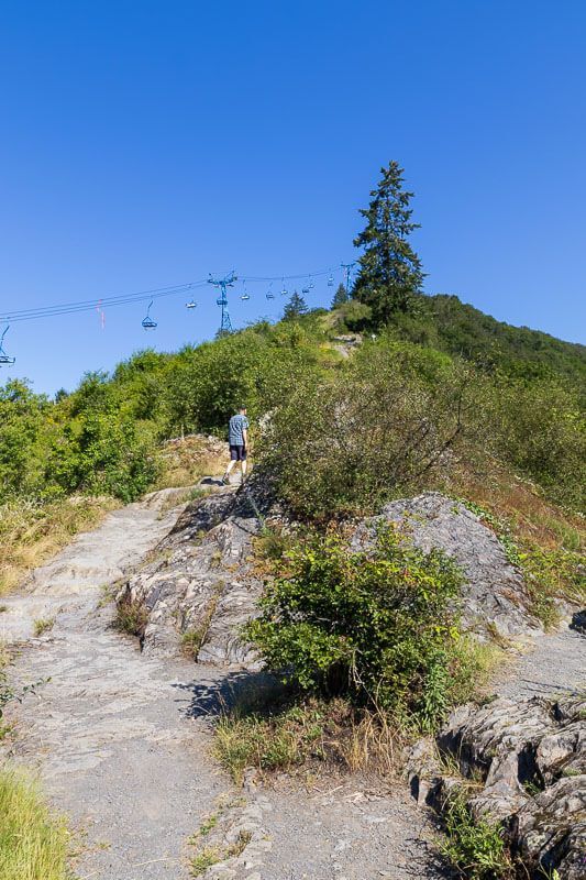 Aufstieg zum Gedeonseck Rheinblick mit vielen Felsen und flacher Vegetation. Aufstieg zum Gedeonseck Rheinblick, der Weg ist steil, es gibt viele Felsen und flache Vegetation.