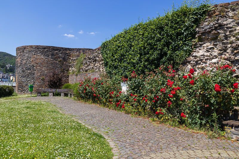 Mit Rosen bewachsene Wehrmauer des Römerkastells in Boppard. Wehrmauer vom Römerkastell in Boppard. Die Fassade ist mit Rosen bewachsen.