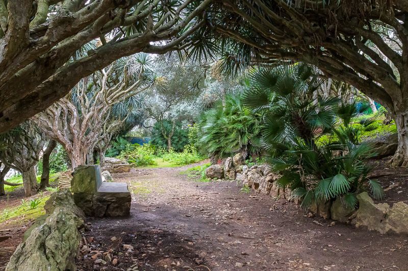 Mein Zufallsfund und einen Besuch wert: der Palmengarten bei Cascais Steinerne Bank unter Palmen in Cascais.