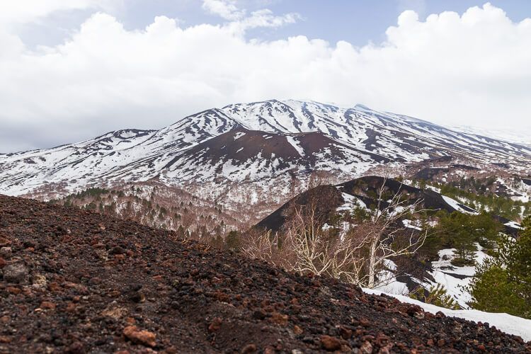 Ausflug von Catania auf den Ätna Gebirgslandschaft des Ätna bei Schnee und Ascheboden. Die grünen Tannen bilden einen starken Farbkontrast.