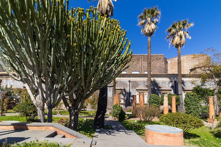 Botanischer Garten des Benediktinerklosters in Catania. Botanischer Garten des Benediktinerklosters in Catania, Im Vordergrund ein kaktusähnlicher Baum.