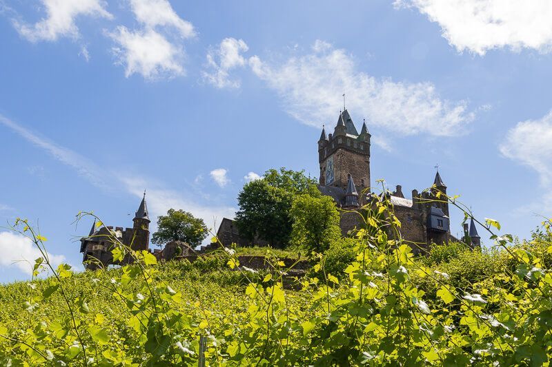 Sehenswürdigkeit: Reichsburg in Cochem Die Reichsburg Cochem thront über Weinstöcken.