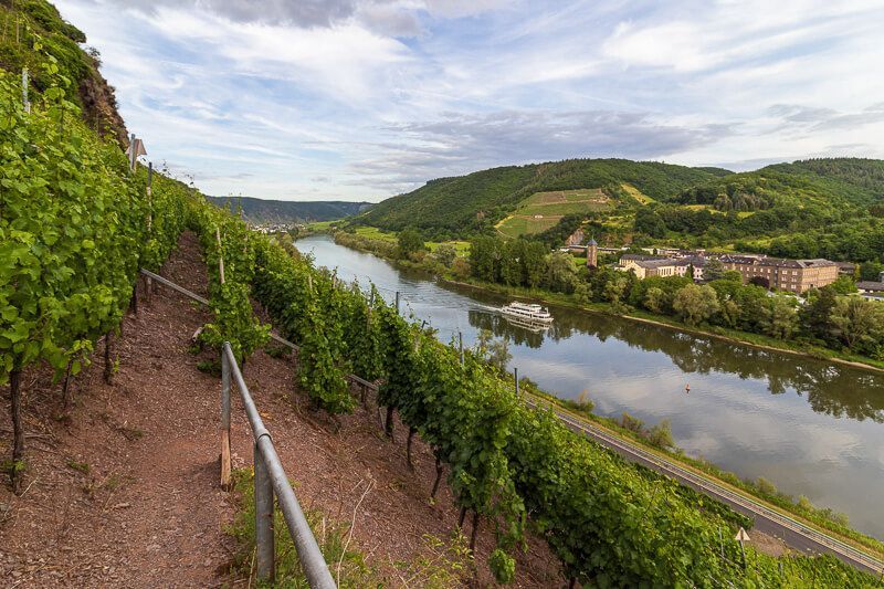 Aktivitäten in Cochem: Wanderung durch die Weinberge Wanderung durch Weinberge bei Cochem mit einem weiten Blick über das Moseltal.