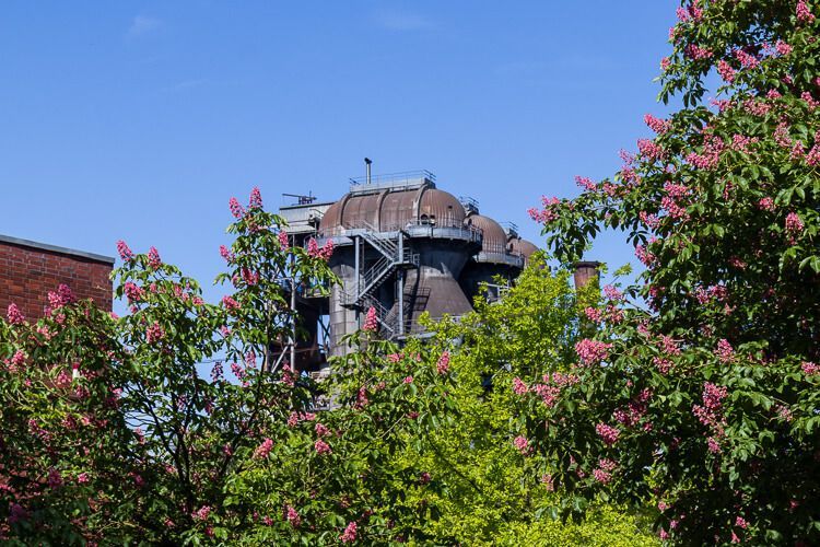 Frühling im Landschaftspark Duisburg-Nord Frühling im Landschaftspark Duisburg-Nord: Das ehemalige Industriegelände erblüht in bunten Farben.