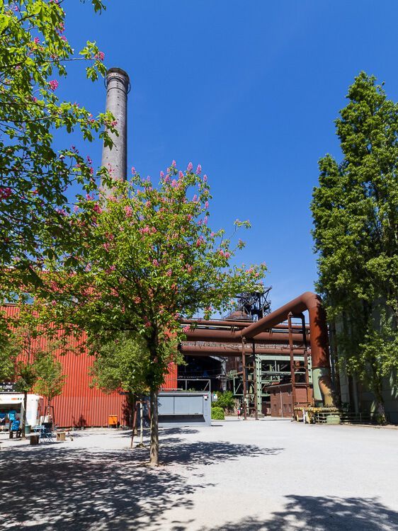 Industrie im Frühling Frühling im Landschaftspark Duisburg-Nord: Das ehemalige Industriegelände erblüht in bunten Farben.