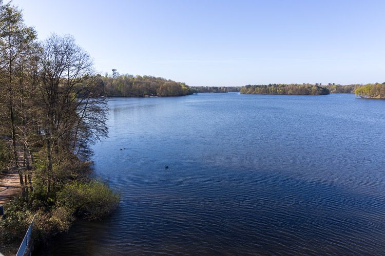 Idylle am See Sechs-Seen-Platte in Duisburg liegt idyllisch da, ein perfektes Ausflugziel
