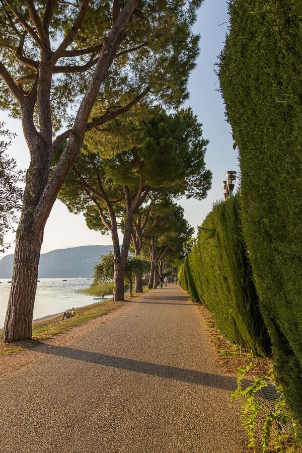Weg kurz vor Bardolino Kurz vor Bardolino ist der Weg entlang des Gardasee von riesigen mediterranen Bäumen gesäumt.