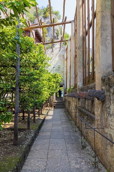Blick in einen Gang der Limonaia in Limone sul Garda. Auf der rechten Seite sind die Fenster, links stehen Zitrusbäume.