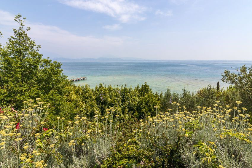 Blick vom Parco Pubblico Tomelleri in Sirmione auf die Westseite des Gardasee. Das Wasser ist türkisblau. Im Vordergrund sind gelbe Blüten.