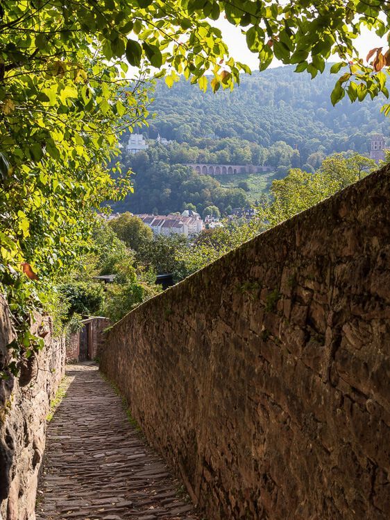 Aufstieg zum Philosophenweg. Ein schmaler Gang mit Blick über Heidelberg führt zum beliebten Philosophenweg.