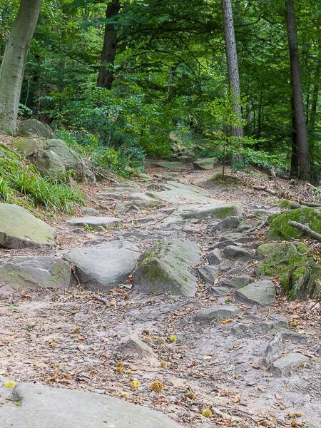 Sehr unebener Wanderweg mit vielen Felsen, die aus dem Boden ragen.