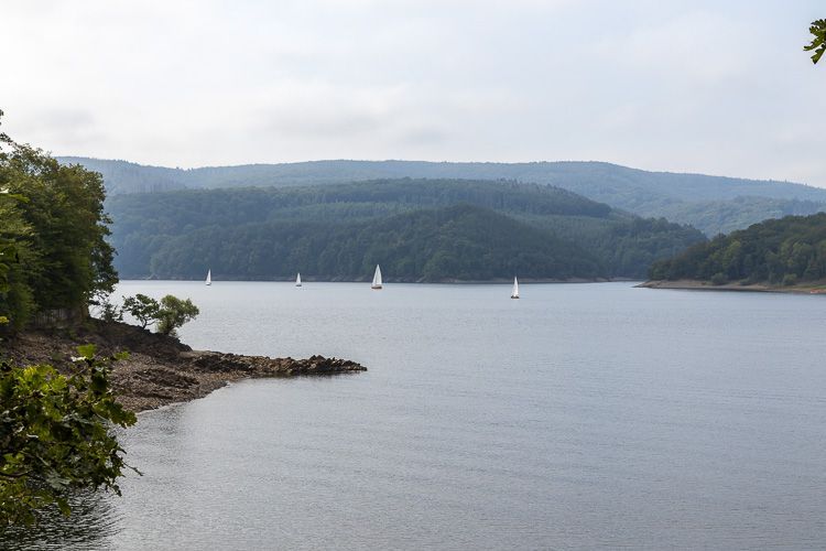 Rursee-Idylle Rursee mit Segelbooten und grün bewaldeten Hügeln der Eifel im Hintergrund.