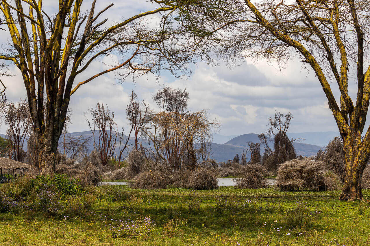 2. Station meiner Kenia-Reise: Lake Naivasha Blick auf den Lake Naivasha mit Hügelkette im Hintergrund.