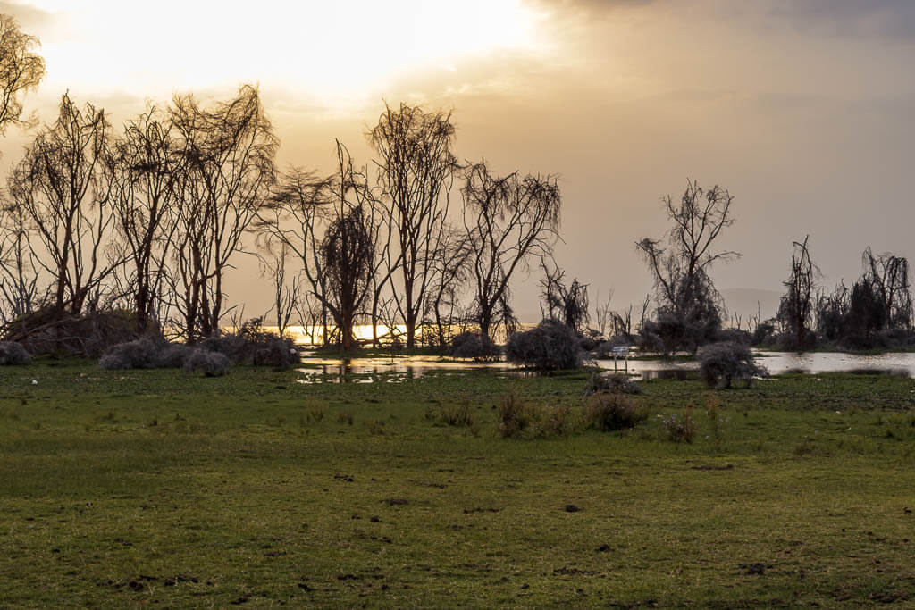 Am Lake Naivasha kurz vor Sonnenuntergang. Am Lake Naivasha kurz vor Sonnenuntergang.