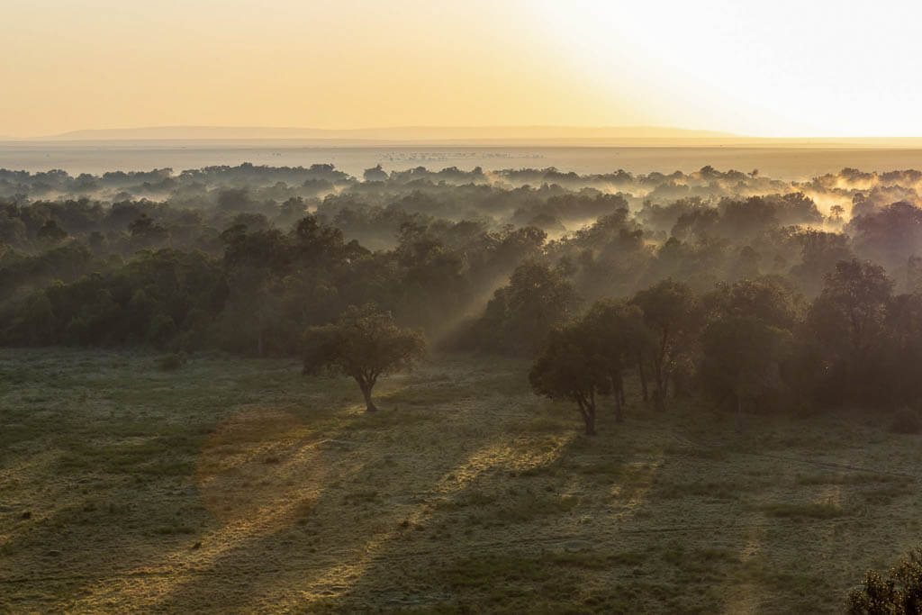 Morgensonne bricht durch den Morgennebel in der Masai Mara Fahrt mit dem Heißluftballon über die Masai Mara bei Sonnenaufgang, noch ist es leicht nebelig.