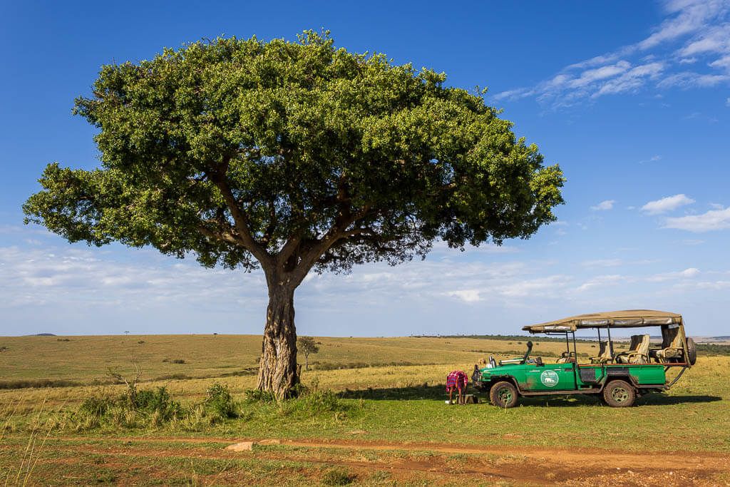 Frühstück mitten in der Masai Mara. So lässt es sich gutgehen. Frühstück mitten in der Masai Mara unter einem stattlichen Baum.