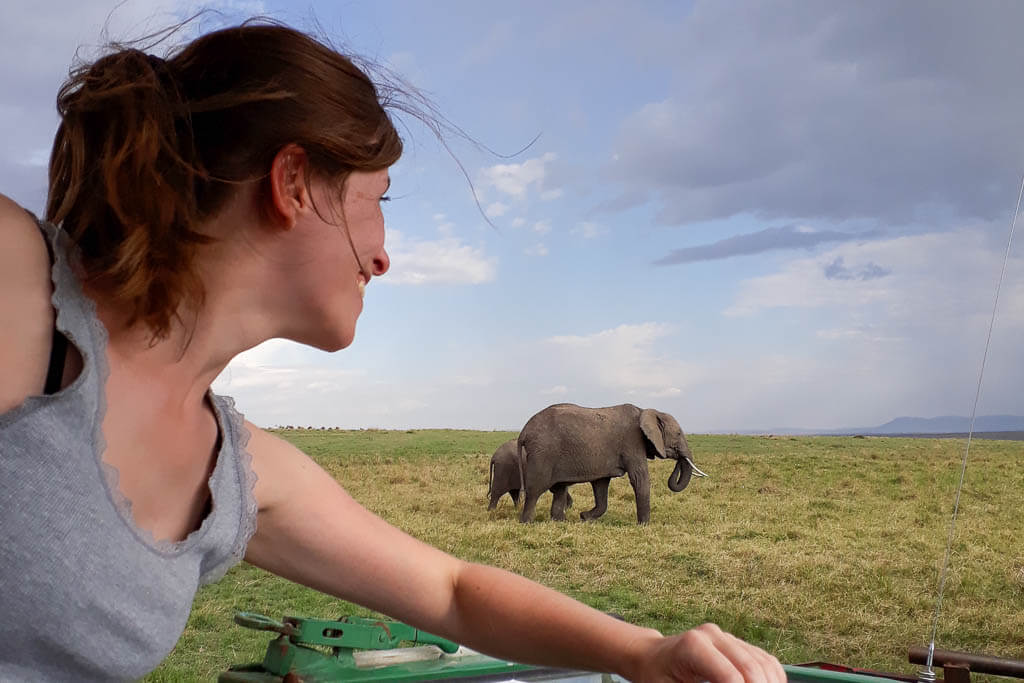Beste Aussicht bei dieser Safari in der Masai Mara Eine Frau beobachtet auf Safari in der Masai Mara aus einem Jeep heraus grasende Elefanten.